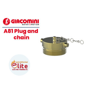 Giacomini A81 Plug and chain in Saudi Arabia شركة نخبة الأطفاء التجارية Elitefire |