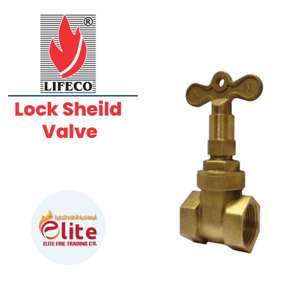 Lifeco Lock Sheild Valve in Saudi Arabia