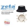 Zeta Intrinsically Safe Flame Detector in Saudi Arabia |